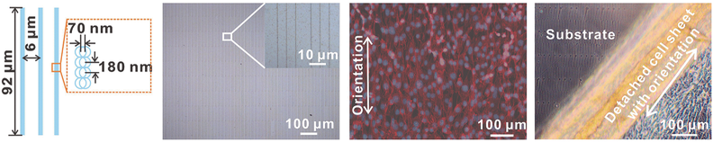 printable and metalplatable copolymer